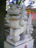 熊野神社に居たこま犬